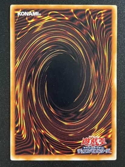 【状態B+】●真紅眼の黒竜(親知らず)(301-056)