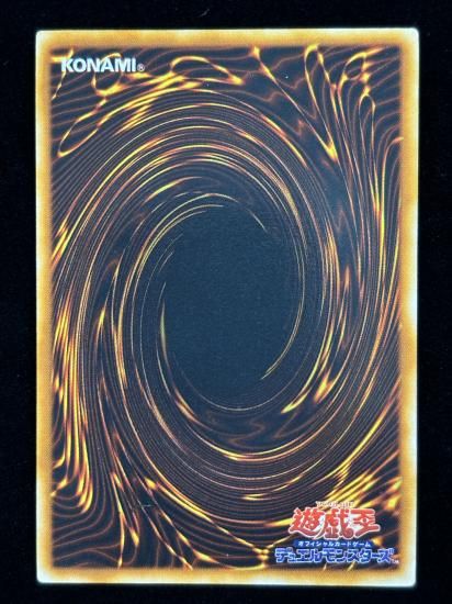 【状態B】●レッドアイズ・ブラックメタルドラゴン(SE)