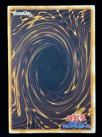 【状態C】●トビペンギン(USE)