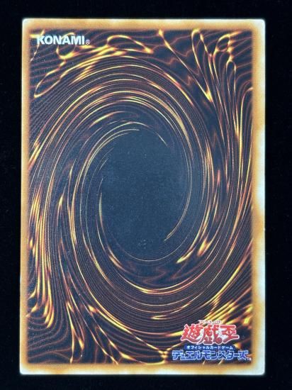 【状態C】●カース・オブ・ドラゴン(UR)