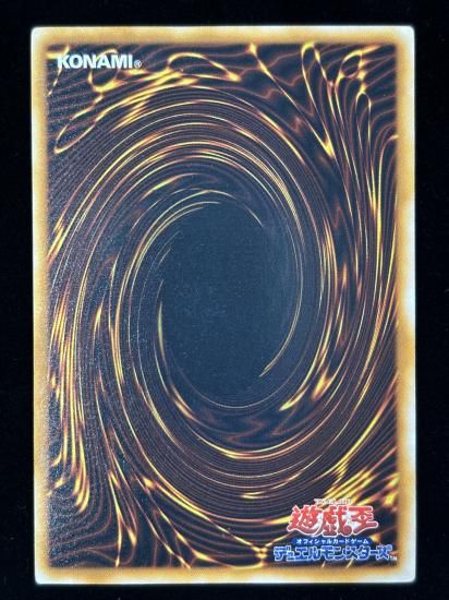 【状態C】●トビペンギン(USE)