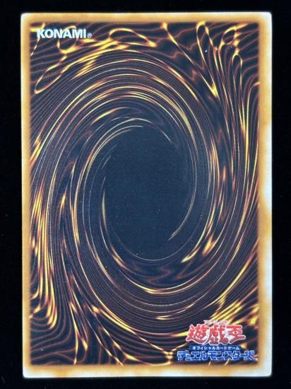 【状態C】●ヤマドラン(USE)