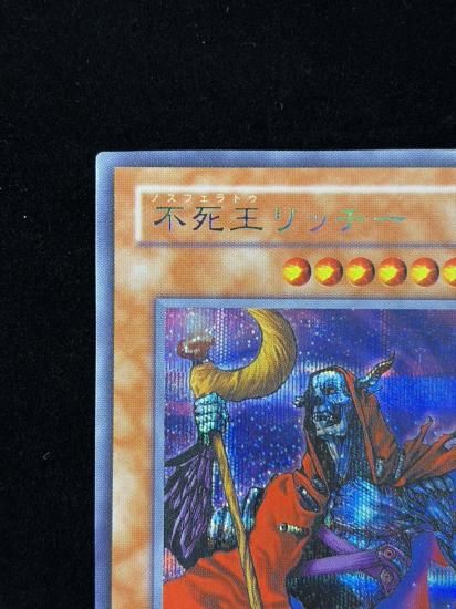 【状態A-】●不死王リッチー(PT-00)(SE)