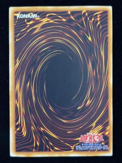 【状態A-】●不死王リッチー(PT-00)(SE)