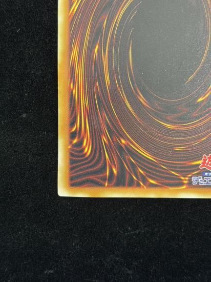 【状態A-】●不死王リッチー(PT-00)(SE)