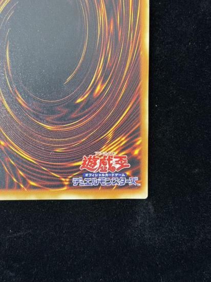 【状態A-】●不死王リッチー(PT-00)(SE)