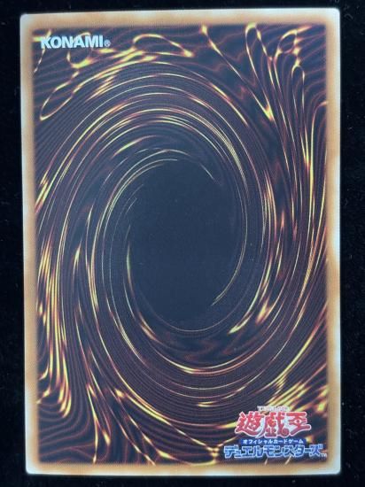 【状態B】●涅槃の超魔導剣士(HR)(TDIL-J046)