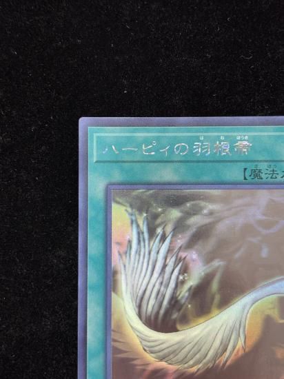 【状態B】●ハーピィの羽根帚(HR)(DP21-JP000)