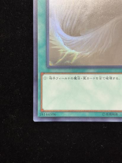 【状態B】●ハーピィの羽根帚(HR)(DP21-JP000)