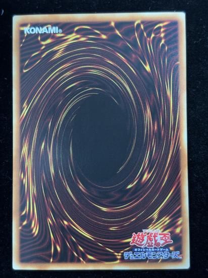 【状態B】●ハーピィの羽根帚(HR)(DP21-JP000)