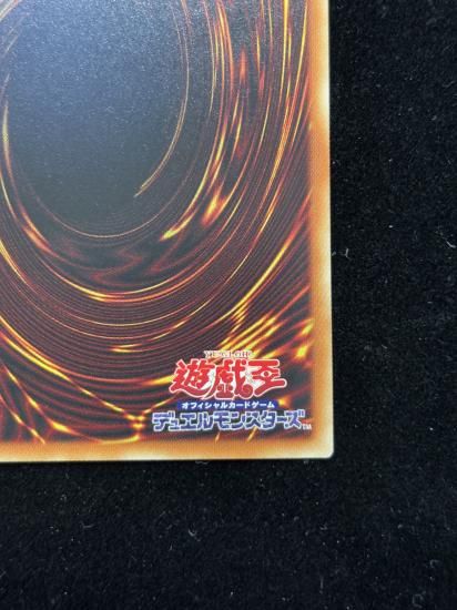 【状態B】●ハーピィの羽根帚(HR)(DP21-JP000)