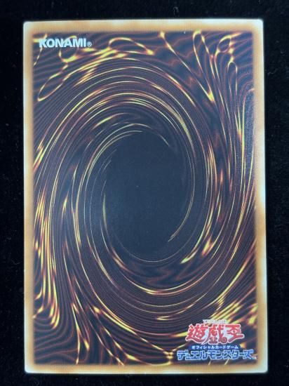 【状態B】●サンダーボルト(HR)(DP22-JP000)