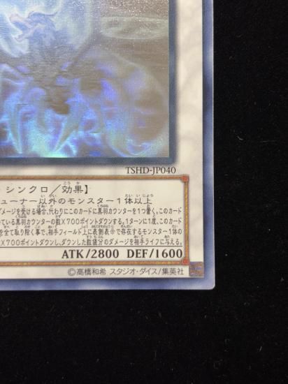 【状態B】●ブラックフェザードラゴン(HR)(TSHD-JP040)