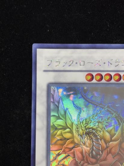 【状態C】●ブラックローズドラゴン(HR)(CSOC-JP039)