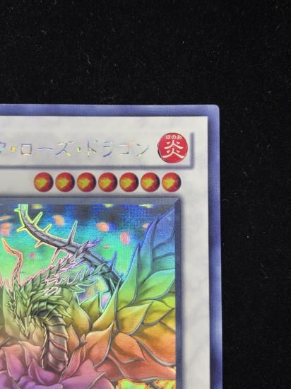 【状態C】●ブラックローズドラゴン(HR)(CSOC-JP039)