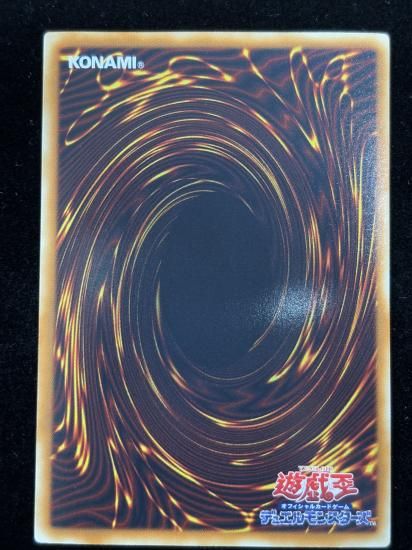 【状態C】●ブラックローズドラゴン(HR)(CSOC-JP039)