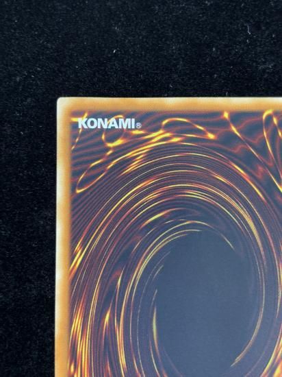 【状態C】●ブラックローズドラゴン(HR)(CSOC-JP039)