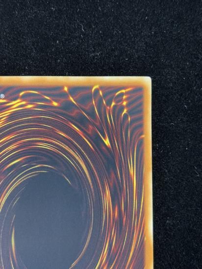 【状態C】●ブラックローズドラゴン(HR)(CSOC-JP039)