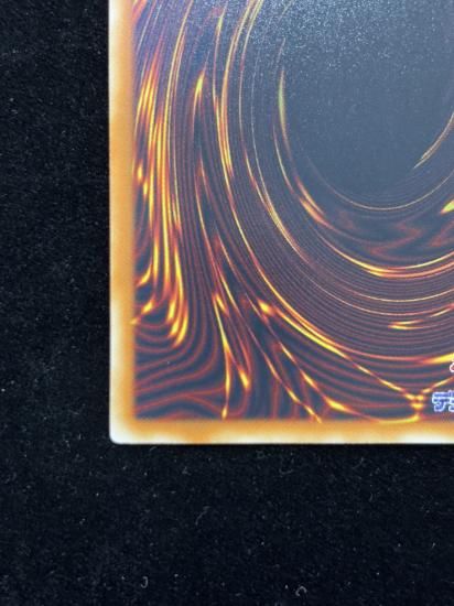 【状態C】●ブラックローズドラゴン(HR)(CSOC-JP039)