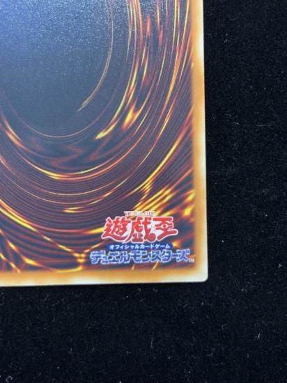 【状態C】●ブラックローズドラゴン(HR)(CSOC-JP039)