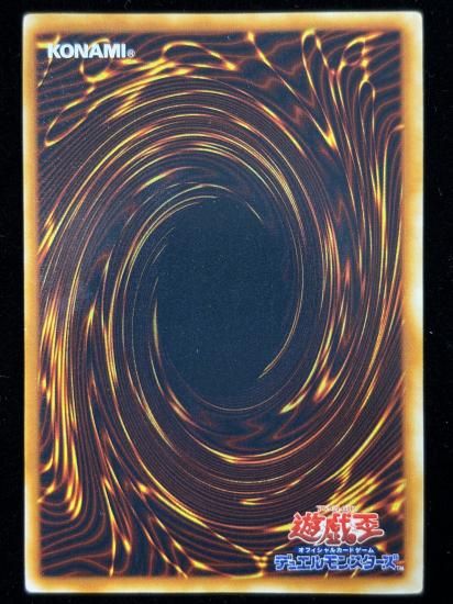 【状態C】●竜騎士ガイア(SE)