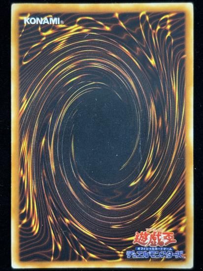 【状態C】●レッドアイズ・ブラックメタルドラゴン(SE)