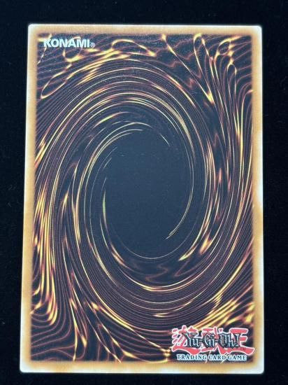 【状態A】●(EU版)DARK PALADIN(BLMM-EN008)(Starlight)