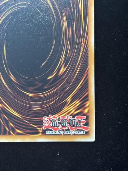 【状態A】●(EU版)DARK PALADIN(BLMM-EN008)(Starlight)