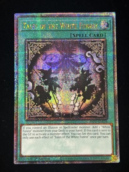 【状態B】●(北米版)TALES OF THE WHITE FOREST(INFO-EN058)(QCSE)