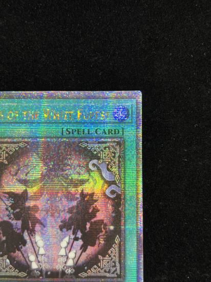 【状態B】●(北米版)TALES OF THE WHITE FOREST(INFO-EN058)(QCSE)