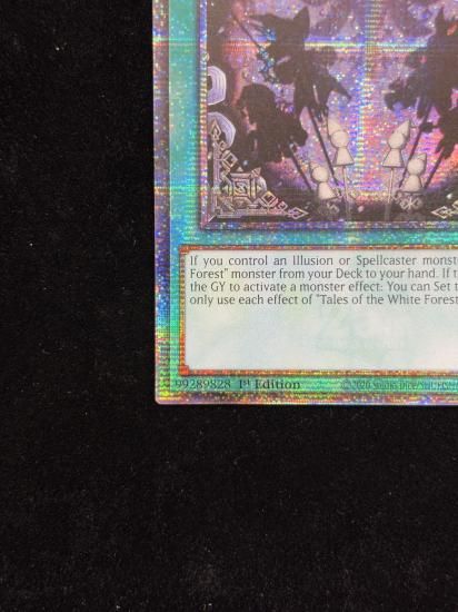 【状態B】●(北米版)TALES OF THE WHITE FOREST(INFO-EN058)(QCSE)