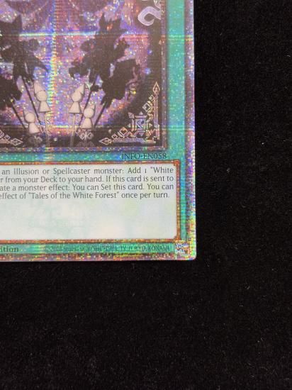 【状態B】●(北米版)TALES OF THE WHITE FOREST(INFO-EN058)(QCSE)