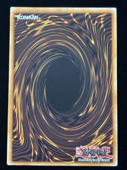 【状態B】●(北米版)TALES OF THE WHITE FOREST(INFO-EN058)(QCSE)