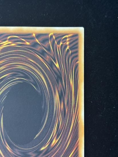 【状態B】●(北米版)TALES OF THE WHITE FOREST(INFO-EN058)(QCSE)