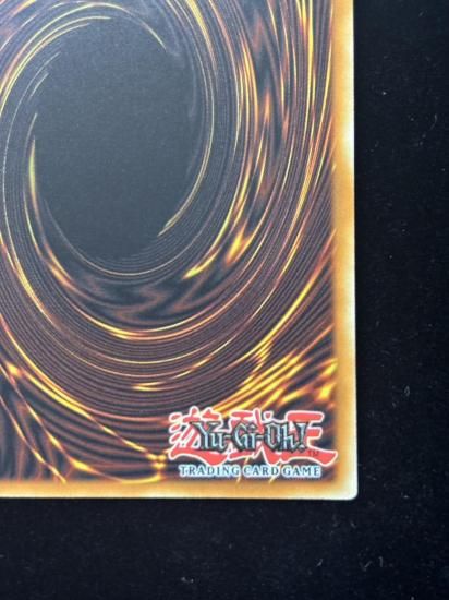 【状態B】●(北米版)TALES OF THE WHITE FOREST(INFO-EN058)(QCSE)