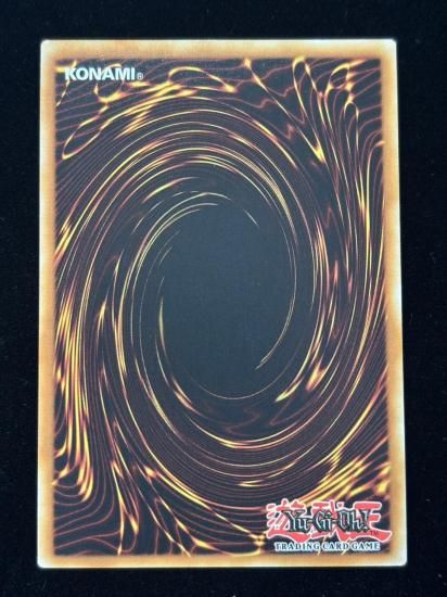 【状態B】●(EU版)SHADDOLL FUSION(RA04-EN231)(QCSE)