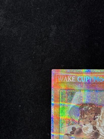 【状態A】●(アジア英語)WAKE CUP! MOCHA(DUAD-AE028)(QCSE)