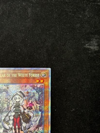 【状態A】●(アジア英語)ASTELLAR OF THE WHITE FOREST(INFO-AE013)(QCSE)