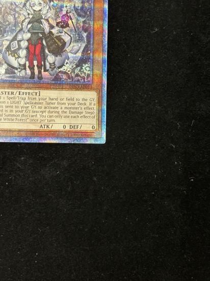 【状態A】●(アジア英語)ASTELLAR OF THE WHITE FOREST(INFO-AE013)(QCSE)