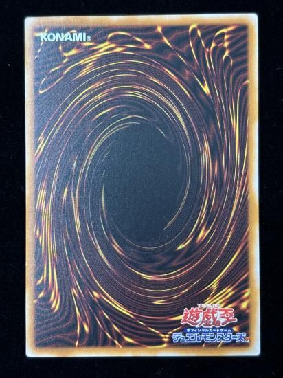 【状態B+】●(アジア英語)DRAGON OF PRIDE AND SOUL(INFO-AE000)(QCSE)