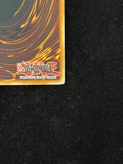 【状態B】●(北米1st)LUMINA LIGHTSWORN SUMMONER(CP8-EN005)(SR)