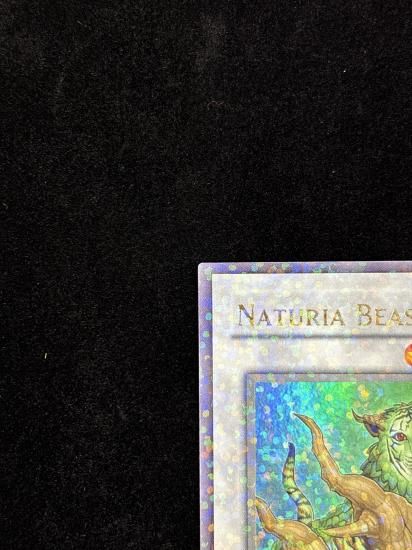 【状態B】●NATURIA BEAST(DT02-EN032)(UR)