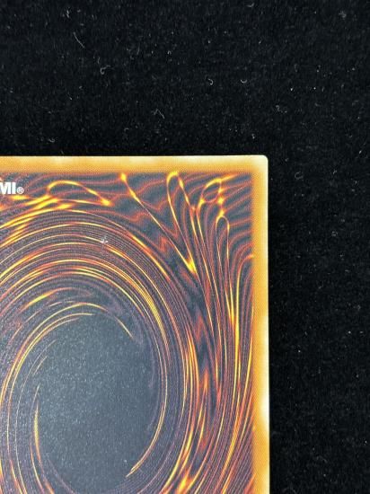 【状態C+】●真紅眼の黒竜(301-056)