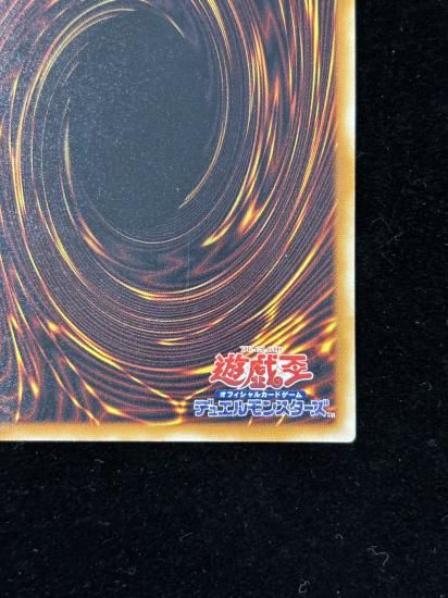 【状態C+】●真紅眼の黒竜(301-056)