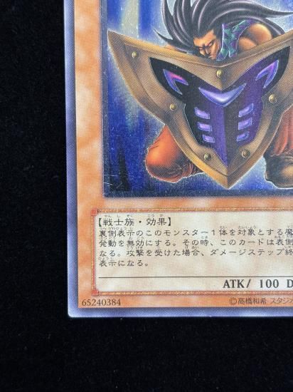 【状態C+】●ビッグシールドガードナー(DL1-136)