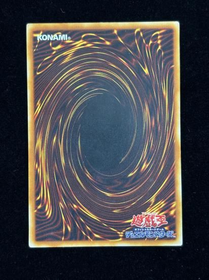 【状態C+】●ビッグシールドガードナー(DL1-136)