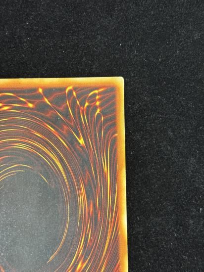 【状態C+】●ビッグシールドガードナー(DL1-136)