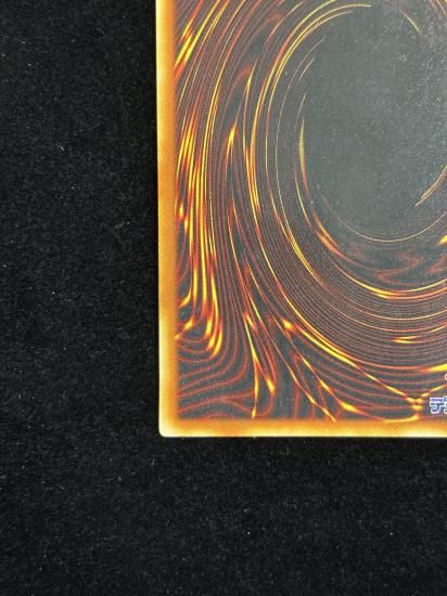 【状態C+】●ビッグシールドガードナー(DL1-136)