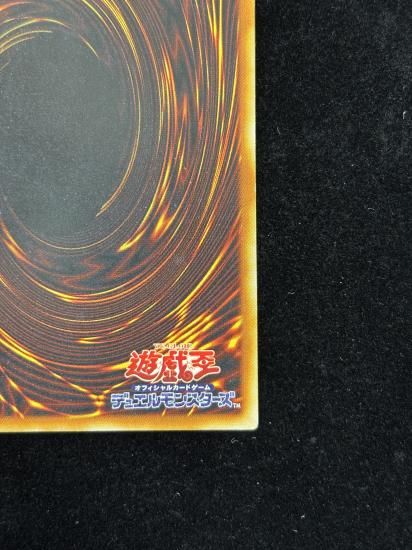 【状態C+】●ビッグシールドガードナー(DL1-136)