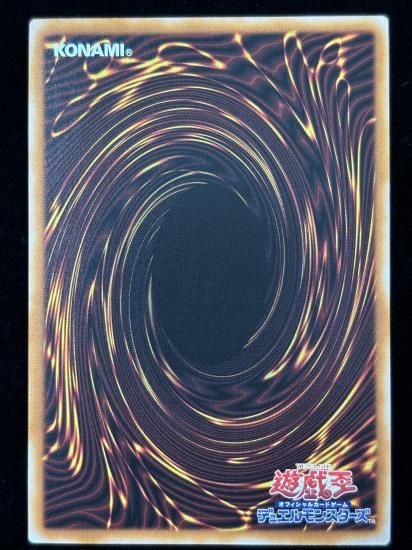 【状態B】●(アジア英語)HOUSE DRAGONMAID(SLF1-AE072)(QCSE)